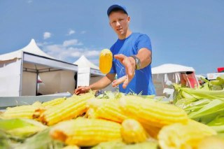 На Кубани началась переработка сахарной кукурузы: 600 тыс. банок готово