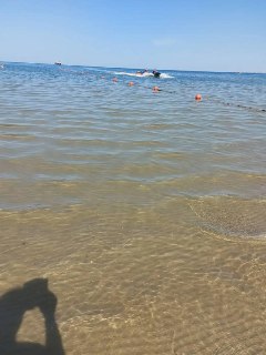Прозрачная вода и медузы на Центральном пляже