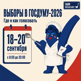 Как Пройти Выборы в Госдуму: Полезные Советы от Гали