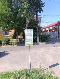 Парковка в городе: жители удивлены бесплатным тарифом