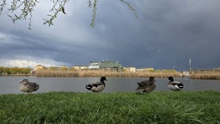 Штормовое Предупреждение: Сильные Дожди и Гроза в Краснодарском Крае
