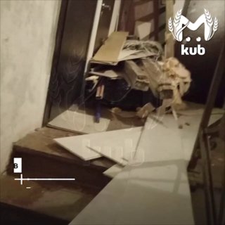 Конфликт композитора с соседкой: потеря туалета и угрозы