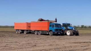 Сезон сбора сахарной свеклы стартовал в Приморско-Ахтарском округе